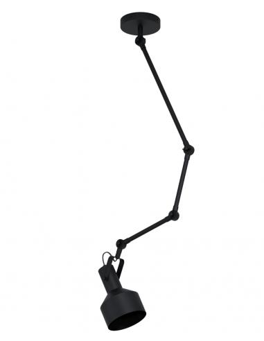 Eglo TAKELEY 43561- Ceiling lamp - 1 x E27 - Metal structure / black finish