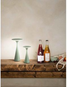 Perenz 8118 SV CT Elliot Table lamp chargeable led sage green