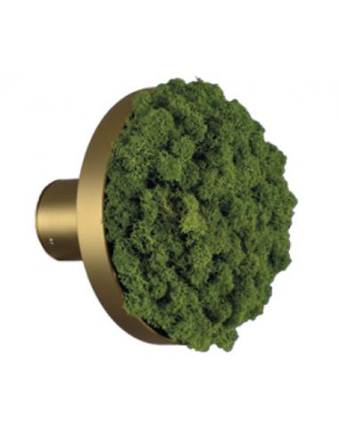 ACB Iluminacion K0003140VEC Chamaleon Lampada da parete disco decorativo muschio verde