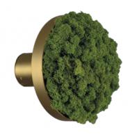 ACB Iluminacion K0003140VEC Chamaleon Lampada da parete disco decorativo muschio verde