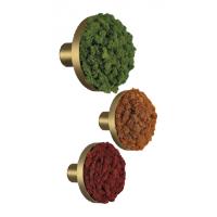ACB Iluminacion K0003140R Chamaleon Wall Lamp decorative disk red moss