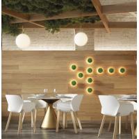 ACB Iluminacion K0003140R Chamaleon Lampada da parete disco decorativo muschio rosso