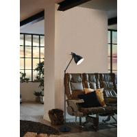 Eglo 49471 PRIDDY Industrial Floor lamp black steel
