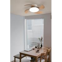 Mantra 8234 Aloha Ceiling lamp fan wood retractable fans