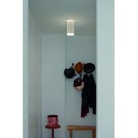 Beetle Large Pyramid | Wall & Ceiling Light