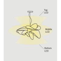 ETOILE SUSPENSION LAMP