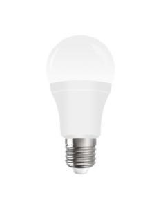 Lampadina E27 LED ø65 - 15W Bianco caldo