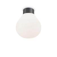 Ideal Lux 149875 Clio PL1 Ceiling Lamp, Anthracite grey