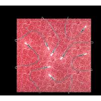 Contemporanea LADY/PL Dec.2 Lampada da Soffitto Braccia Flessibili