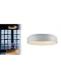 PAN INTERNATIONAL PLA00134 Ceiling light HOOP LED