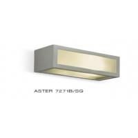 PROMOINGROSS 7271B/SG Lamp wall Aster