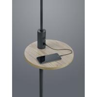 Trio 400400132 Claas Floor Lamp Black USB