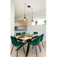 Fabas 3623-41-101 Apollo Lamp to Suspension 1L Black